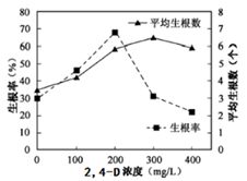生物學(xué)研究中的實驗基礎(chǔ)與驗證